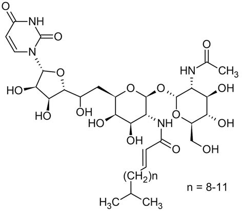 glycosylation 中文